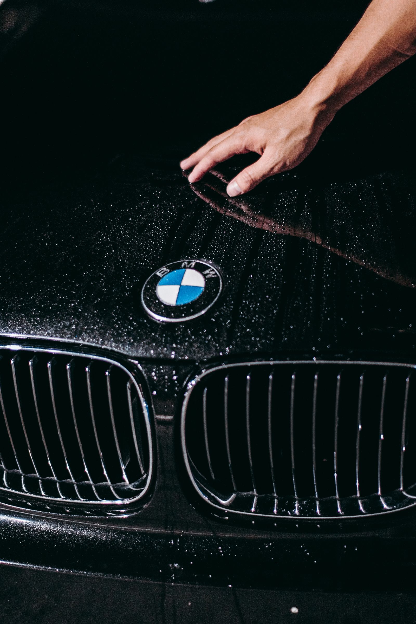 Auto detailing professional
