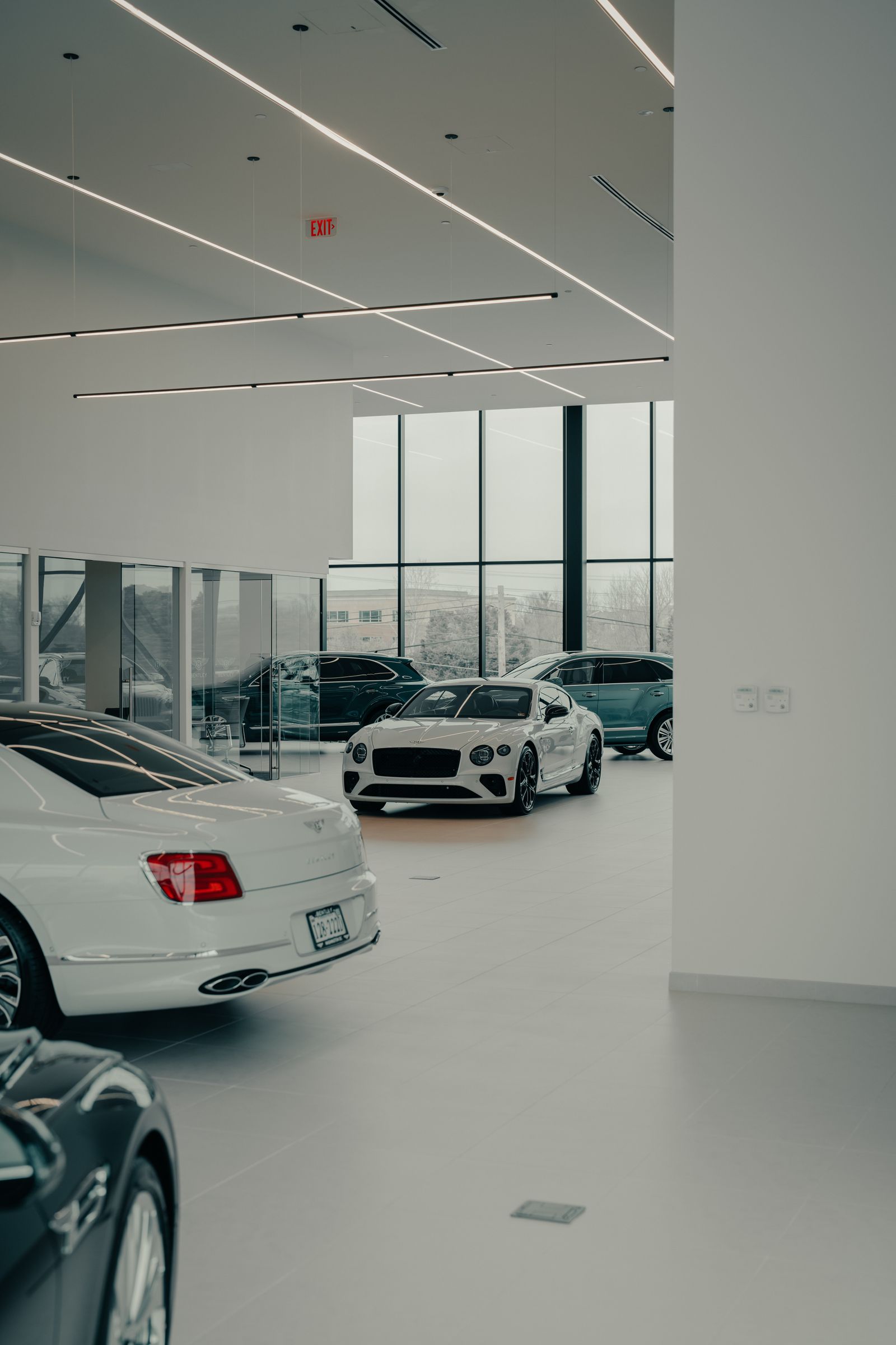 Luxury dealership showroom